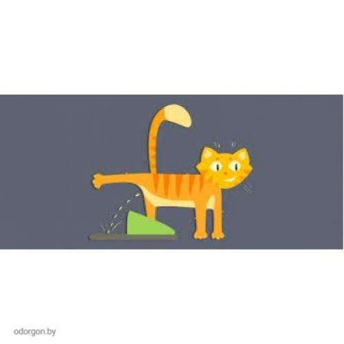 Какие шаги нужно предпринять сразу после того, как кошка пометила ковер. Как избавиться от ужасного запаха кошачьей мочи с ковра