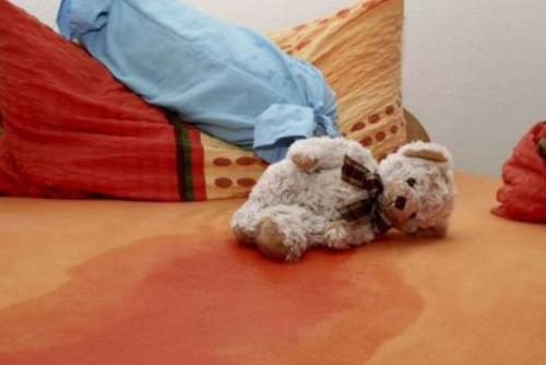 Как убрать запах мочи с ковра: эффективные методы и советы 07