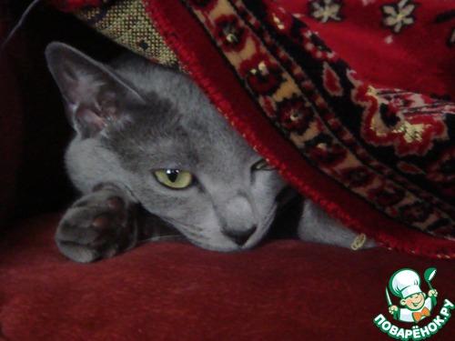 Как убрать запах кошачьей мочи с ковра: эффективные методы 08 Как убрать запах кошачьей мочи с ковра: эффективные методы 08