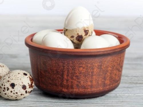 Перепелиное яйцо сколько хранится в холодильнике. Срок хранения в холодильнике 03