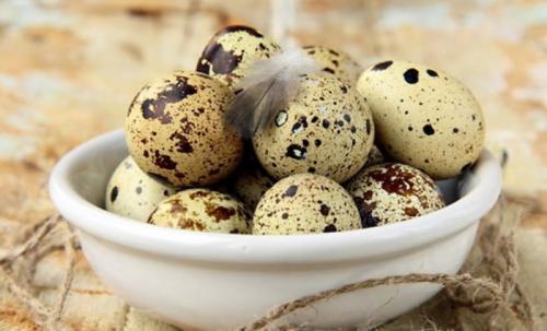 Сколько хранятся варёные перепелиные яйца. Срок хранения перепелиных яиц