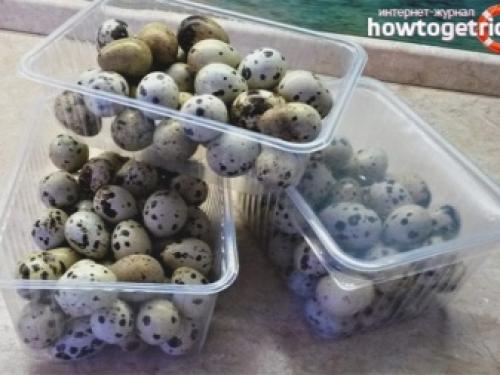 Перепелиное яйцо сколько хранится в холодильнике. Срок хранения в холодильнике 02