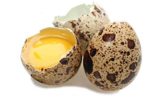 Сколько хранятся варёные перепелиные яйца. Срок хранения перепелиных яиц