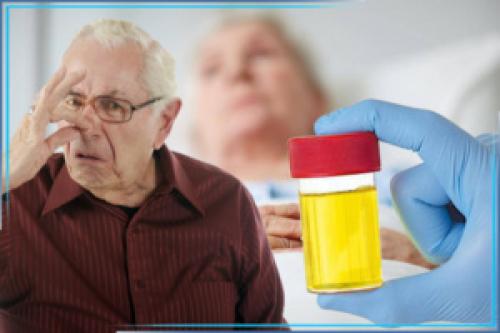 Какие современные методы помогают навсегда избавиться от запаха мочи. Как вывести запах мочи человека. Шанс на здоровый воздух в квартире, доме.