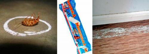 Мелок Машенька от тараканов, как работает. Мелок «Машенька» от тараканов и других насекомых