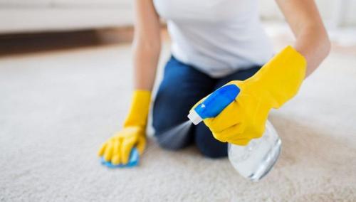 Эффективные способы убрать запах мочи с ковра: проверенные методы 06 Эффективные способы убрать запах мочи с ковра: проверенные методы 06