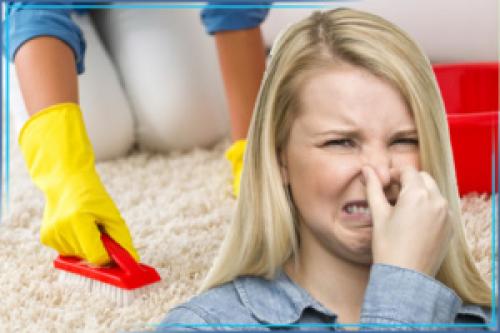 Можно ли использовать бытовую химию для удаления запаха мочи. Как удалить запах человеческой мочи?