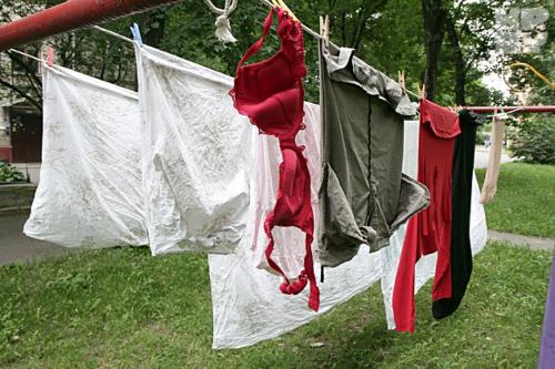 Как предотвратить появление зелёных следов на одежде и белье. Причины появления плесени на поверхности одежды