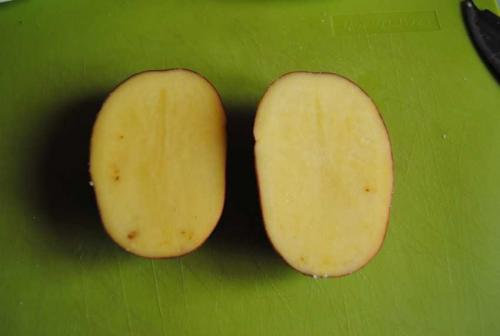 Какие химические средства лучше всего подходят для удаления зелёнки. Чем отмыть зеленку: идеи избавления и способы удаления бриллиантового зеленого раствора (75 фото)