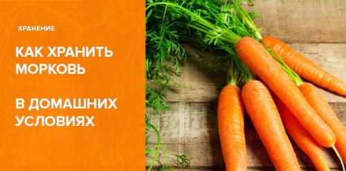 Как хранить морковь в домашних условиях: 10 способов