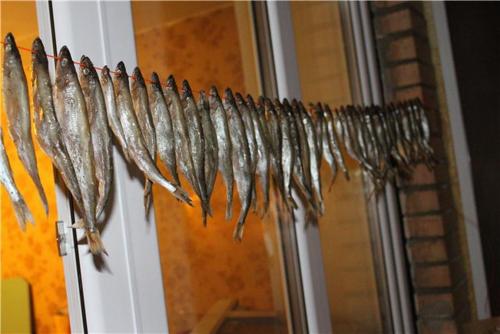 Как хранить рыбу в холодильной витрине. Как и где хранить вяленую рыбу в домашних условиях