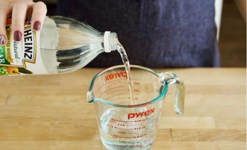 Чем вывести кошачьих блох из дома. Ша.  Узнайте, что собой представляют блохи 04