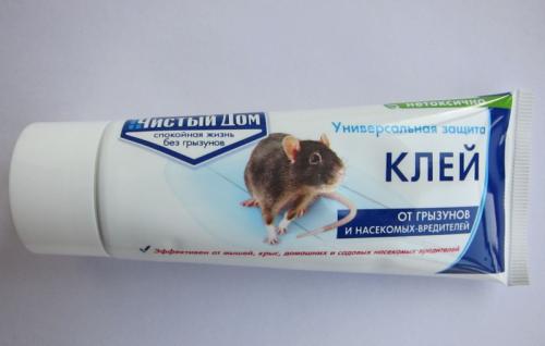 Чем отмыть клей для мышей от линолеума. Как убрать клей для мышей с шерсти домашних животных 04