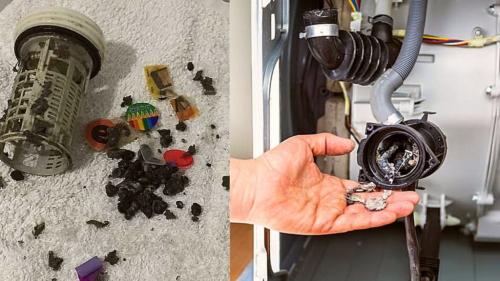 Как убрать запах из стиральной машины лимонной кислотой. Как быстро избавиться от запаха в стиральной машине автомат: 12 работающих методов