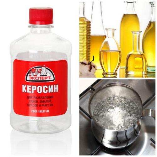 Лучшее средство от муравьев в саду. Эффективные способы борьбы народными средствами