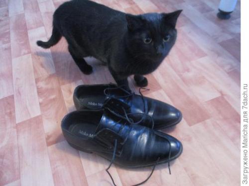 Как использовать холод, чтобы расширить обувь. Если обувь оказалась мала - поможет мороз